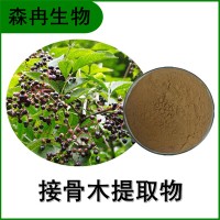 森冉生物 接骨木提取物 公道老提取物 比例提取原料粉