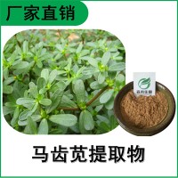 森冉生物 马齿苋提取物 瓜子菜提取物 比例提取原料粉